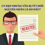 Vì Sao CV Của Bạn Không Được Hồi Âm? Cách Vượt Qua Nỗi Sợ Hiệu Quả